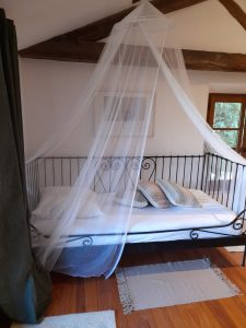 20250701 183256 scaled.jpg