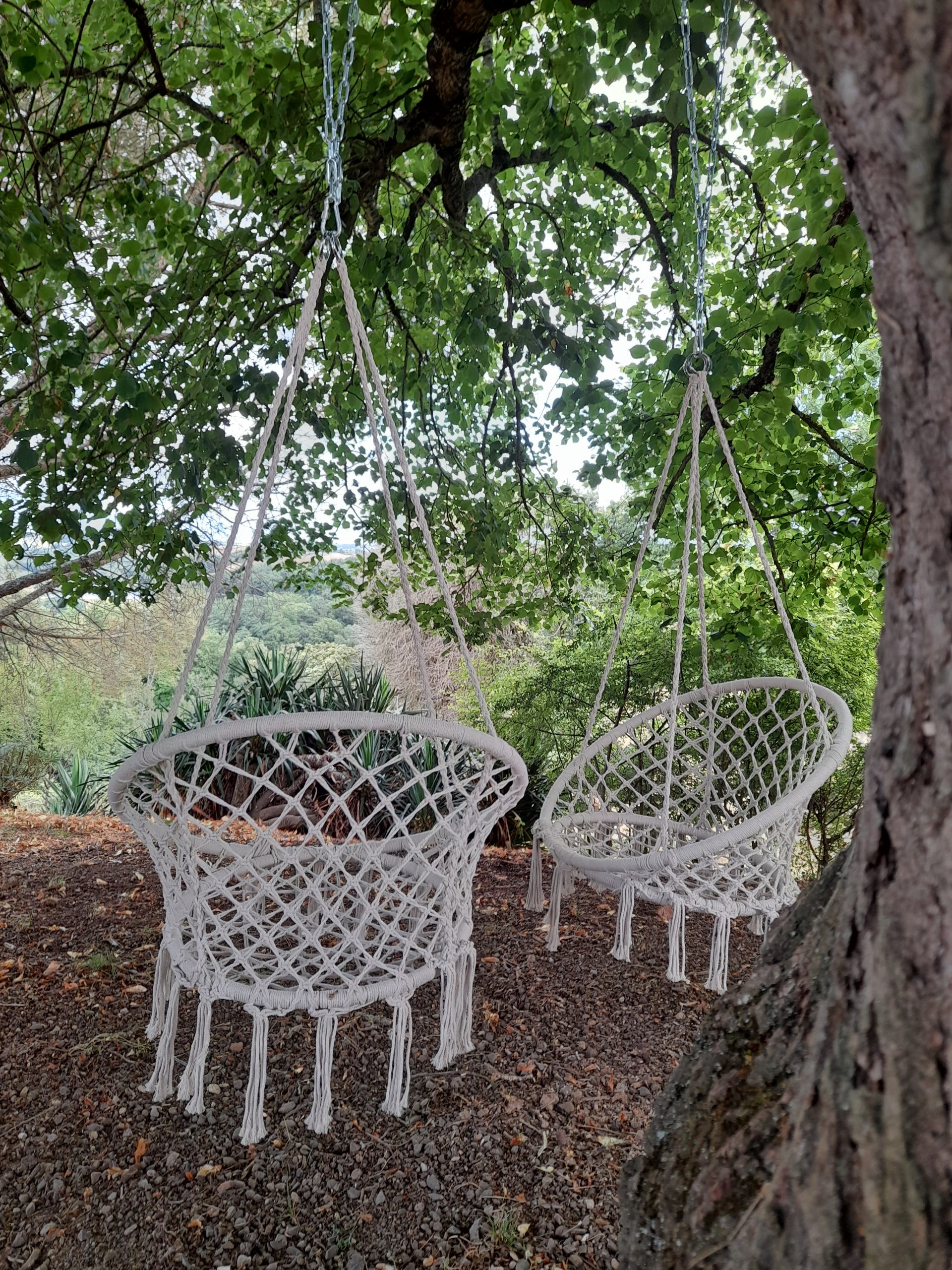 Accueil 20250707 192747 Copie Scaled