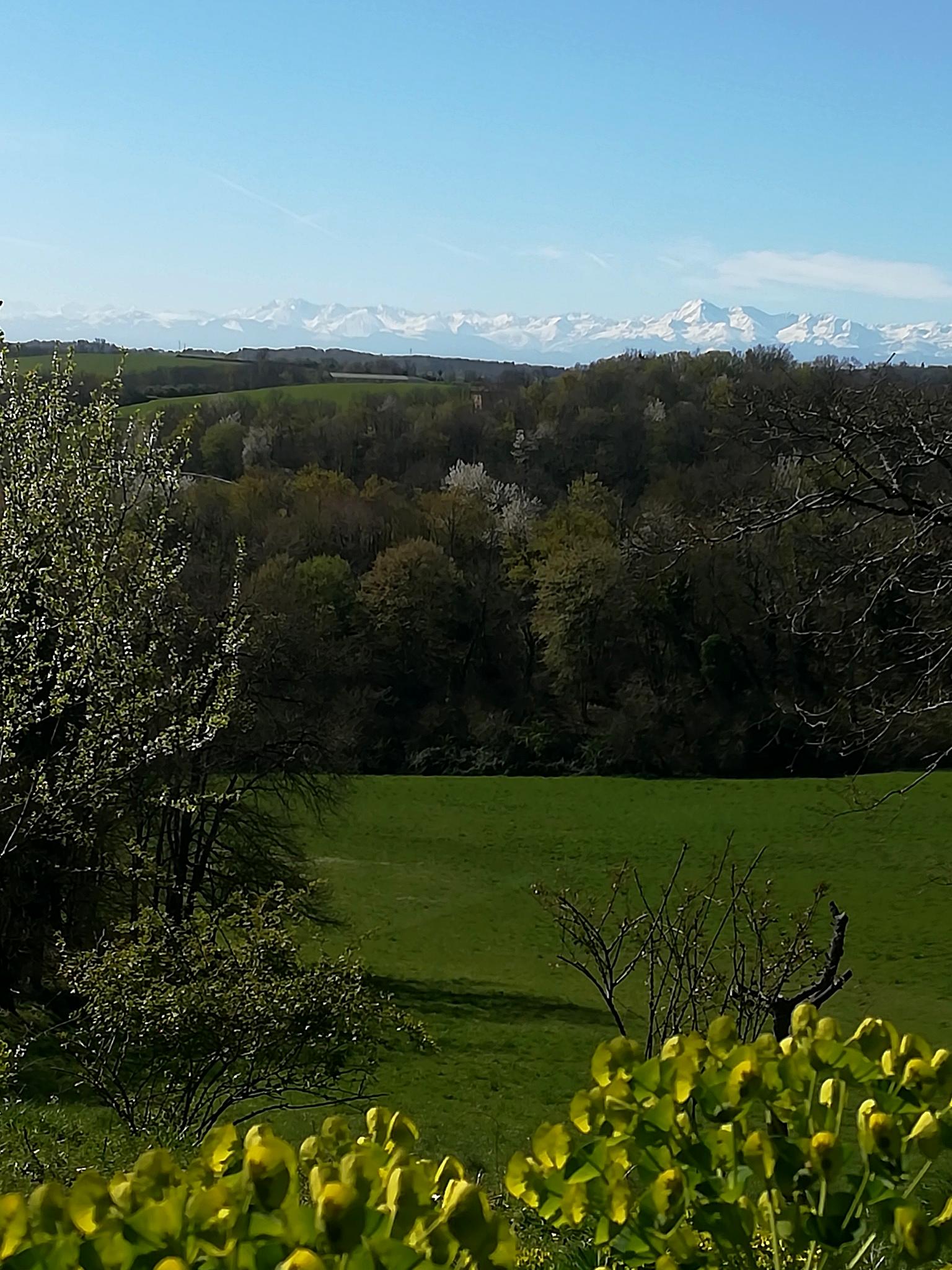 Accueil Montagne Champs Gite