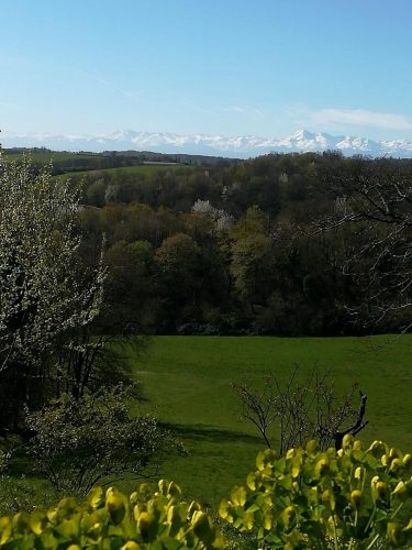 montagne champs gîte