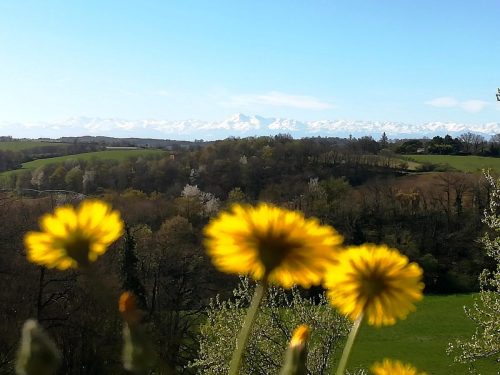 montagne fleur gîte